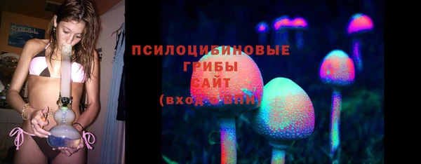 стаф Пролетарск