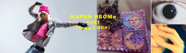мет Алексин