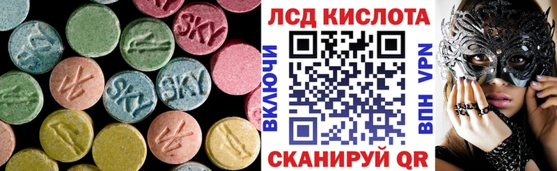 хочу наркоту  Кондопога  Лсд 25 экстази кислота 