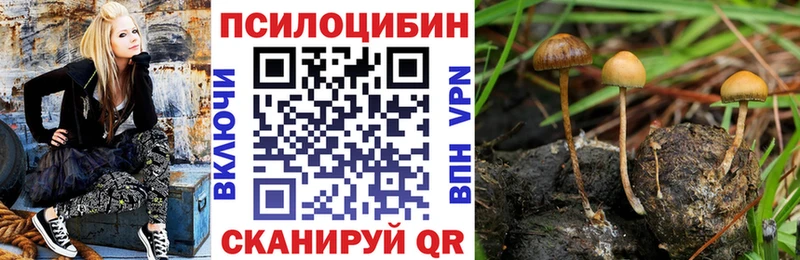 Галлюциногенные грибы ЛСД  Кондопога 